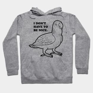 Nice Birds Hoodie